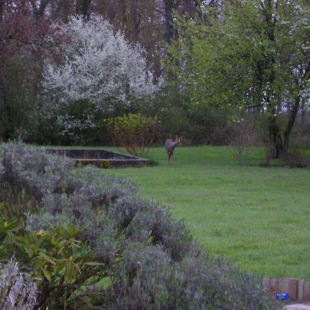 Les Sapins Hotel Vitry-aux-Loges Екстериор снимка